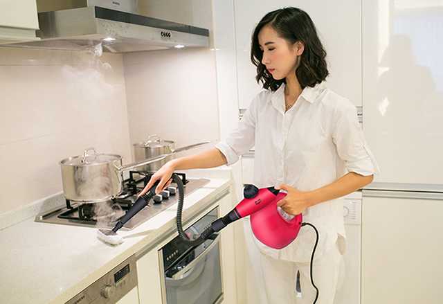 蒸汽清洗機(jī)哪個(gè)牌子好