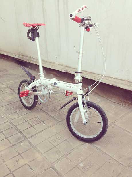 受大家喜歡的折疊自行車十大品牌排行榜前十名