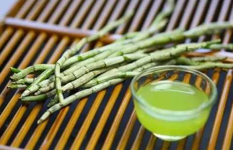 哪些品牌的鐵皮石斛熱賣認(rèn)可度高