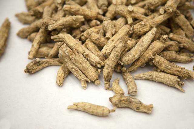 西洋參哪個牌子好
