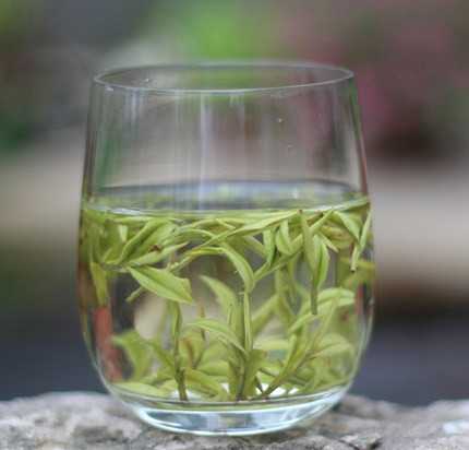 安吉白茶哪個牌子好