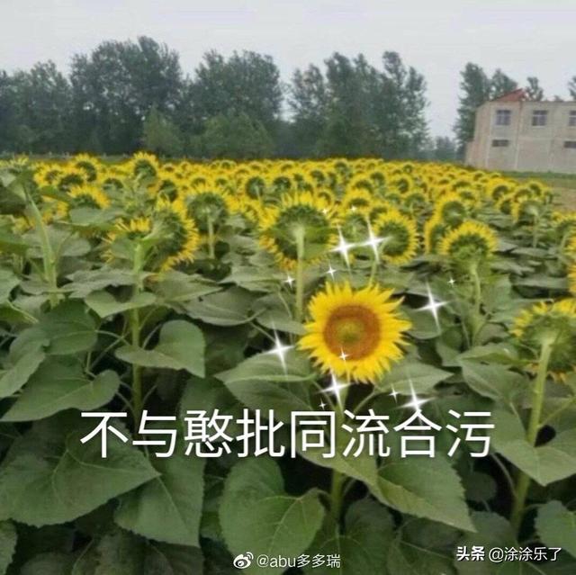 qq群頭銜名稱大全沙雕