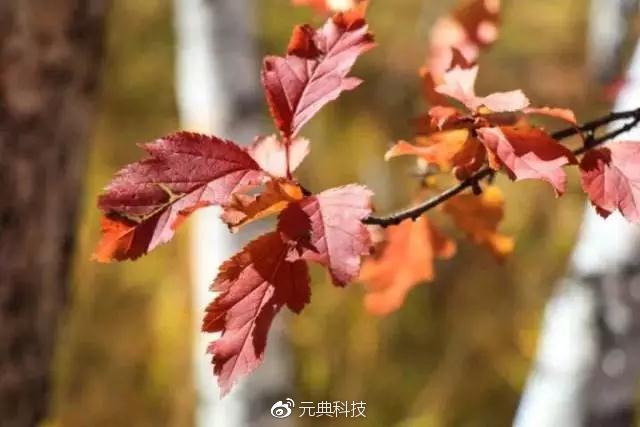 2019年淘寶店怎么去引流