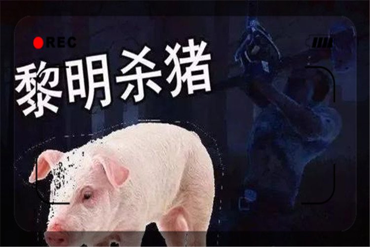 殺豬盤是什么意思？