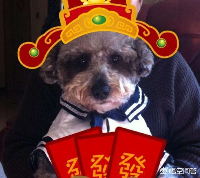 本命年的大忌