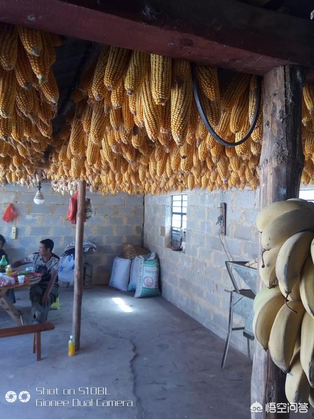 去云南倒騰什么最掙錢(qián)？
