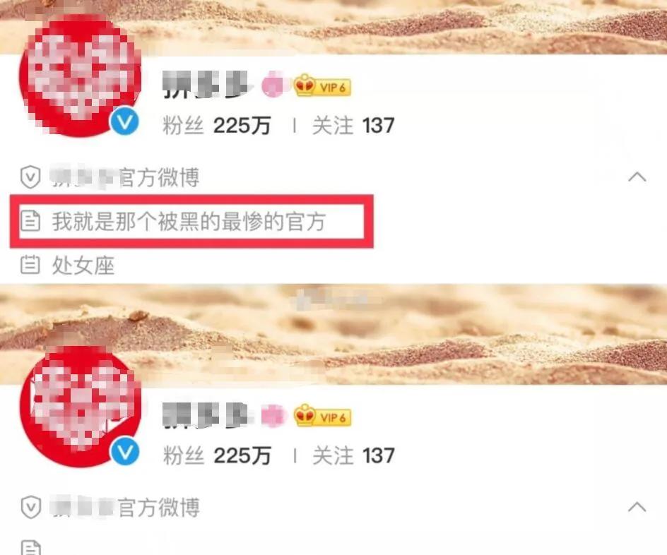 拼多多出事改簡介？