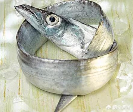 糖醋帶魚怎樣做