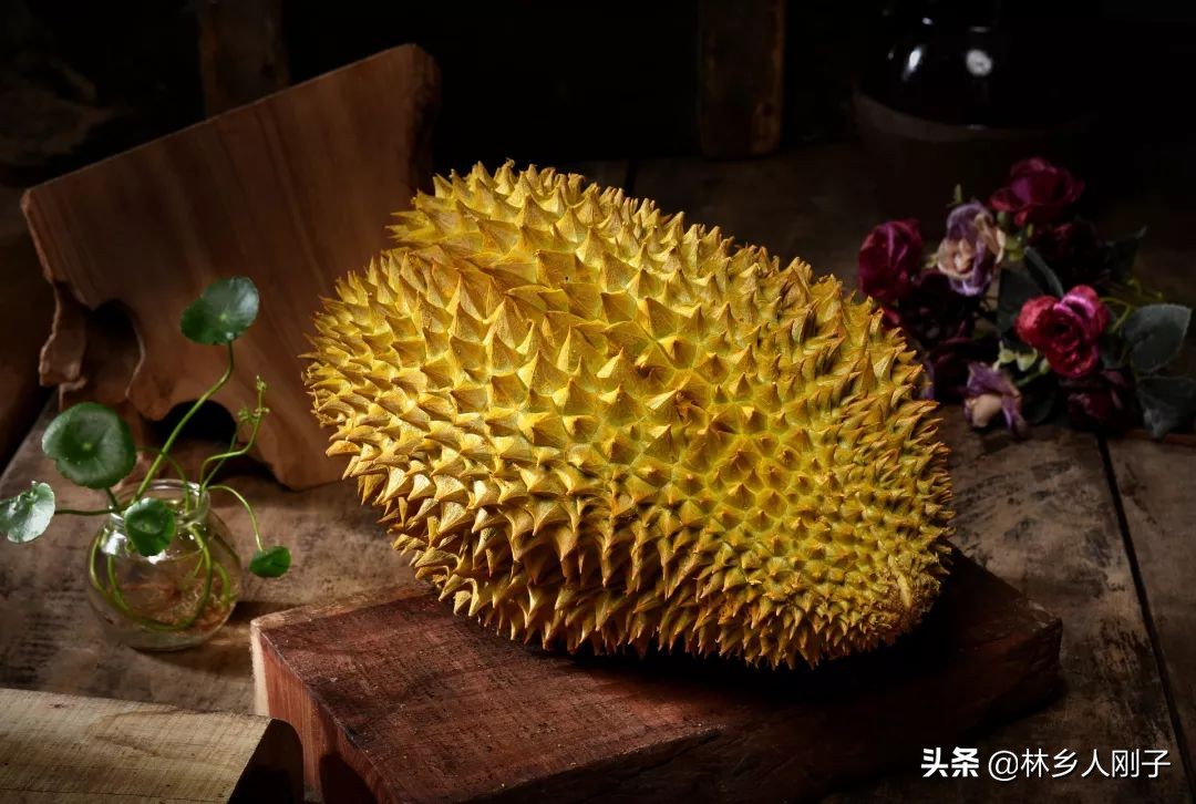 榴蓮蜜和菠蘿蜜的區(qū)別