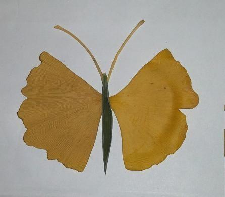 簡單一點的樹葉貼畫