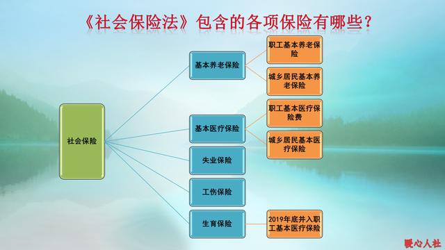買養(yǎng)老保險哪個最好？