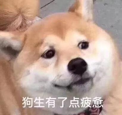 給還準備繼續做新媒體的人提個醒！
