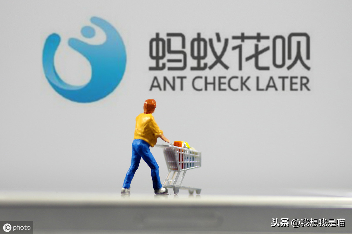 京東閃付可以用白條嗎