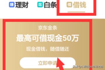 京東金條怎么開通