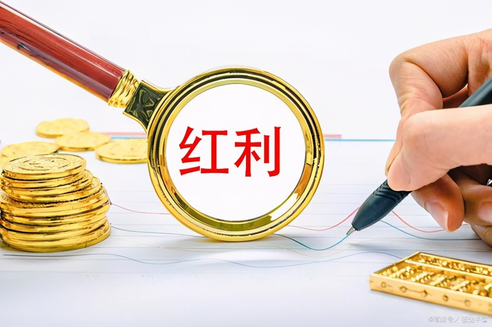 分紅是什么意思