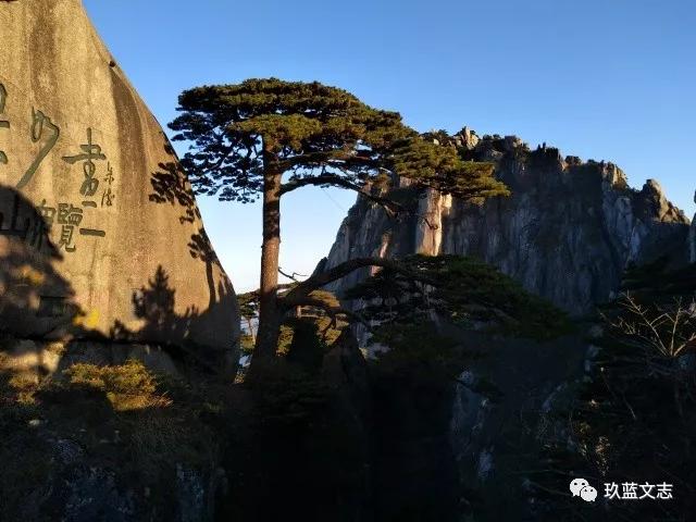 黃山四絕分別是什么