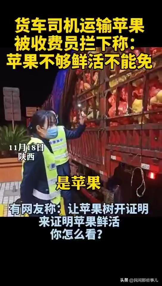 收費站稱蘋果不是鮮活的不能走免費綠色通道