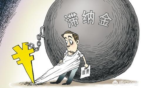 滯納金什么意思