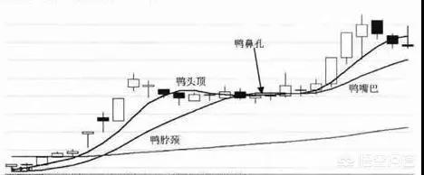 股票老鴨頭形態(tài)圖解