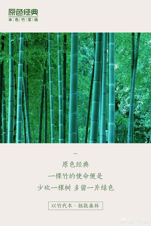 竹漿紙好還是木漿紙好