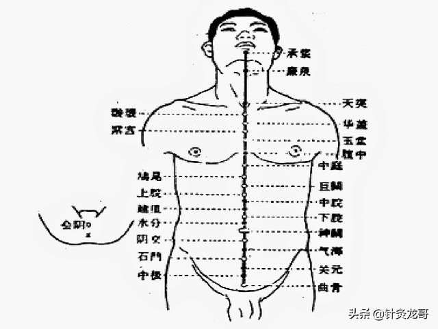 任督二脈在哪