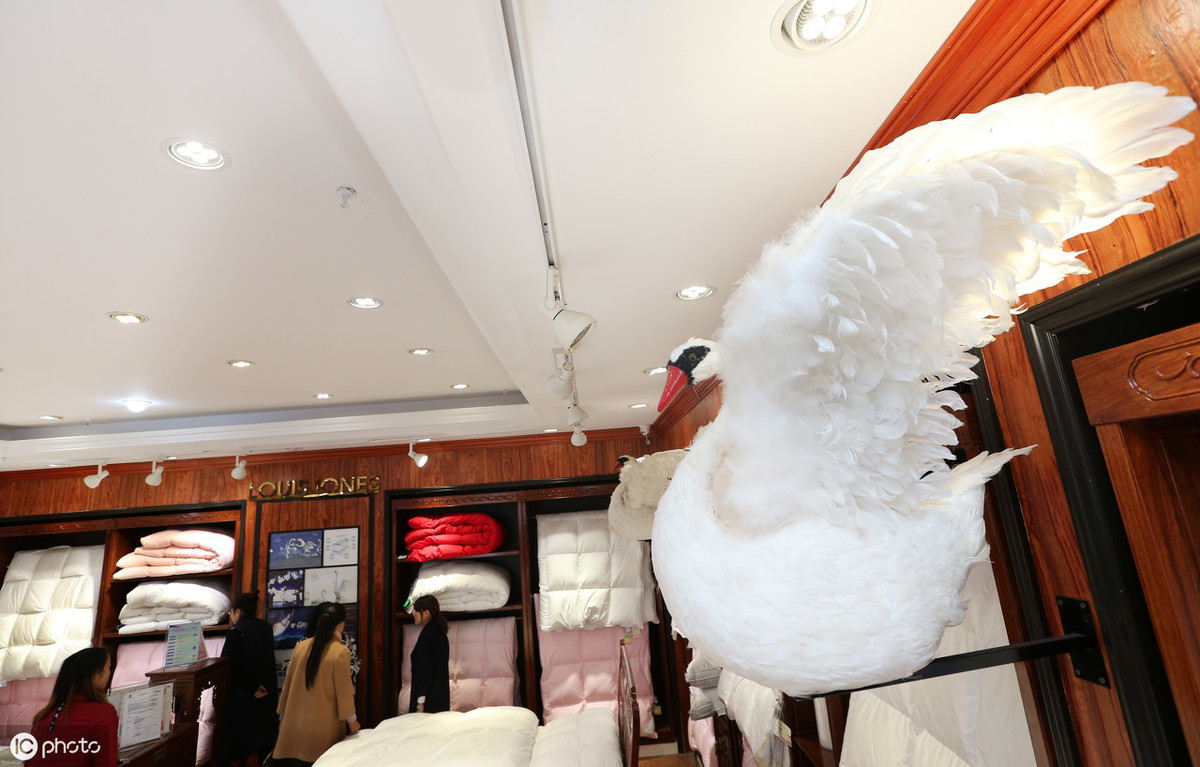 安妮家紡工廠店免費是真的嗎