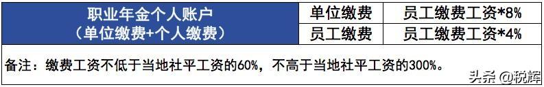 職業年金是什么