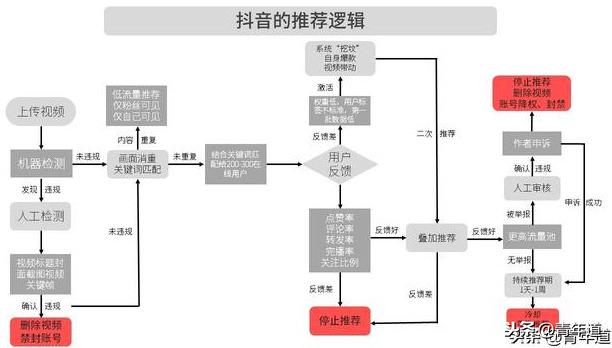 抖音推送規律