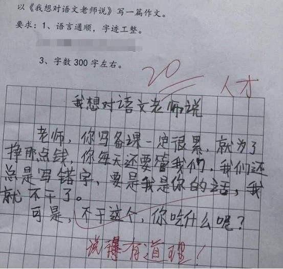 一篇作文氣死99個老師