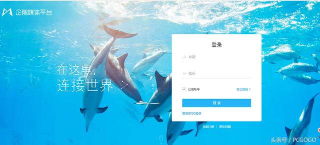 企鵝號怎么賺錢？