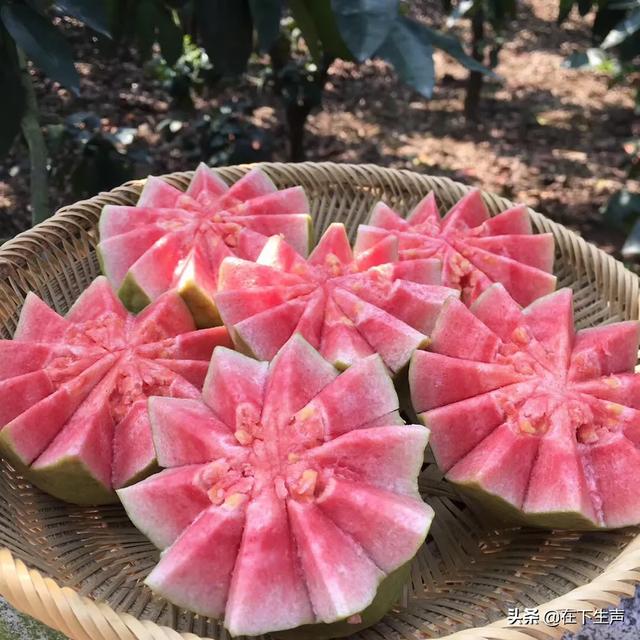 一件代發每月能掙多少