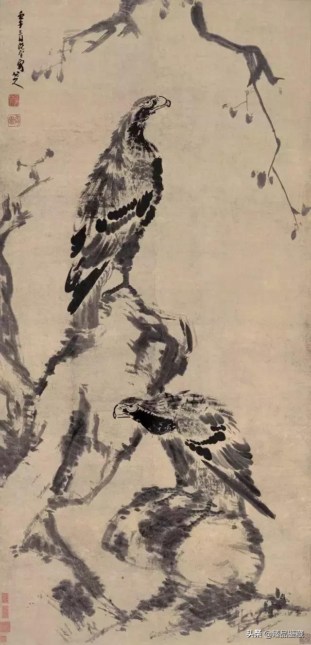 鷹的精神品質(zhì)八個字