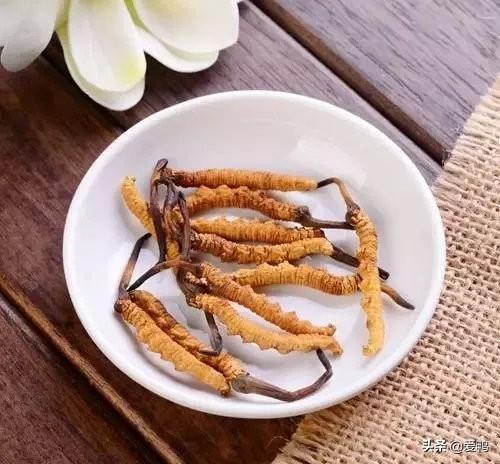 蟲草的最佳吃法