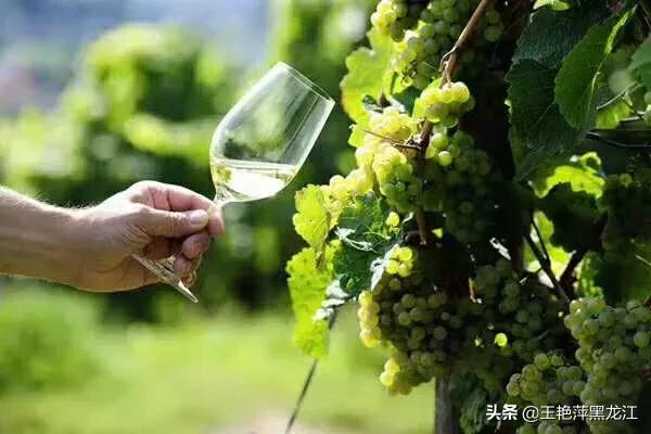 短視頻帶貨靠譜嗎