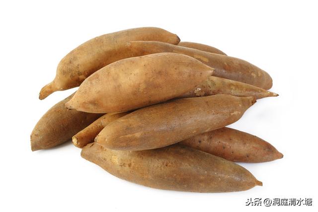 雪蓮果怎么吃最好