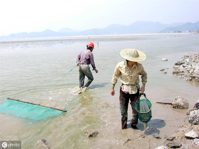 青蟹多少錢(qián)一斤