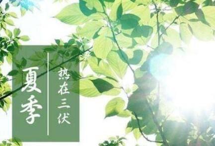 三伏天從什么時候開始
