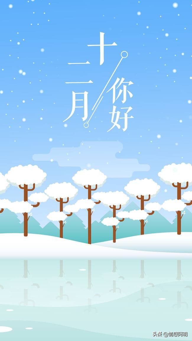 12代表的愛情含義