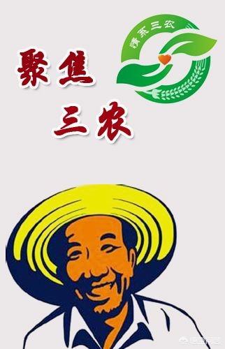 農村創業項目大全