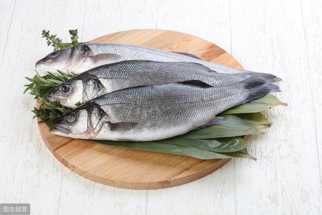 鱸魚產自哪里