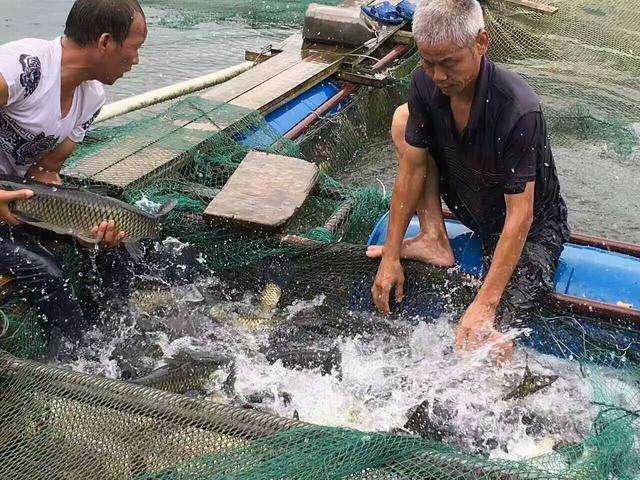 農(nóng)村有什么好的創(chuàng)業(yè)項(xiàng)目