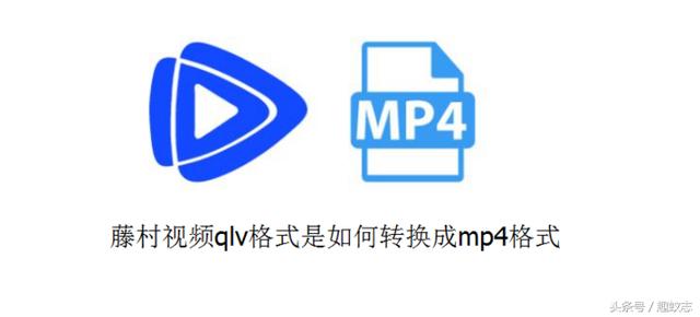 qlv格式轉mp4格式