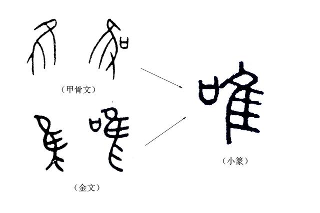 唯唯諾諾是什么意思