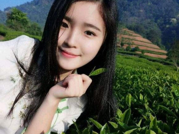茶葉女什么意思