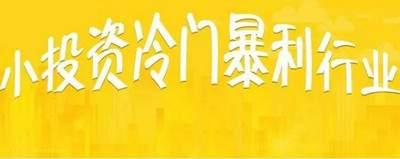 冷門創(chuàng)業(yè)好項目有哪些？
