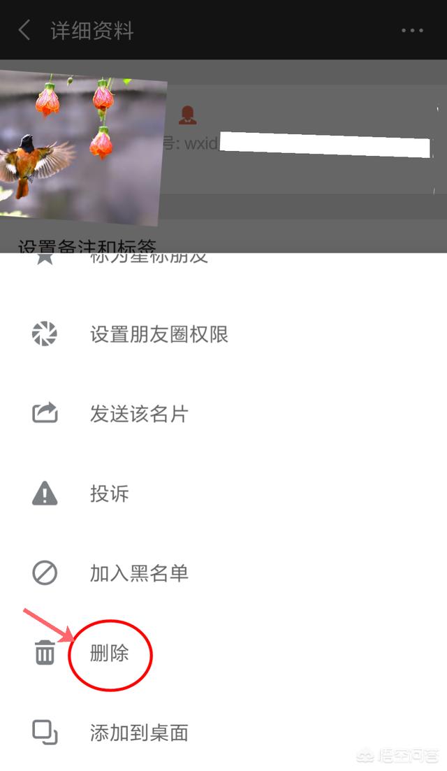微信怎么徹底刪除好友