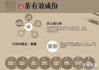 藤茶的功效與作用