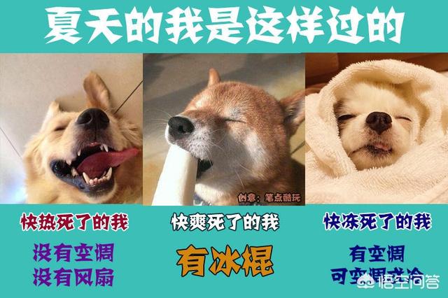 電風扇什么牌子好