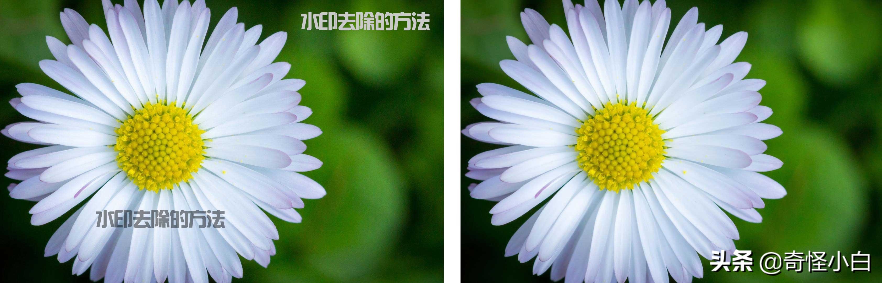 ps去水印教程圖解