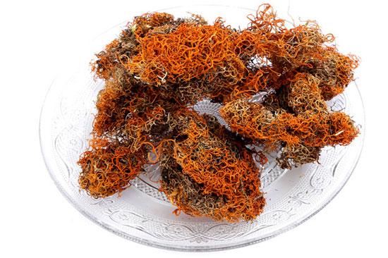 紅雪茶的功效與作用
